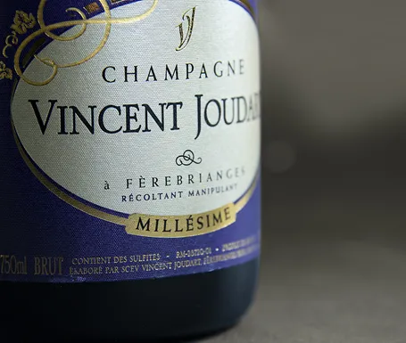 CHA_0010_Vincent_J_Closeup_1