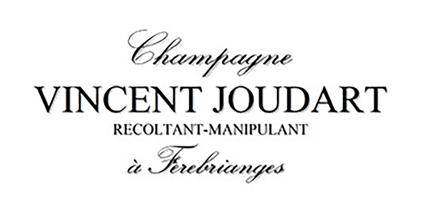 vincent-jourdart logo