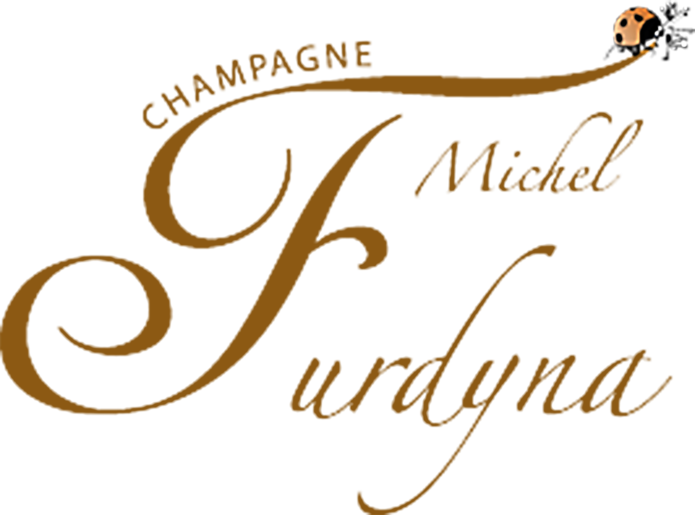 Michel Furdyna logo