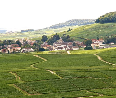 De Sousa 1