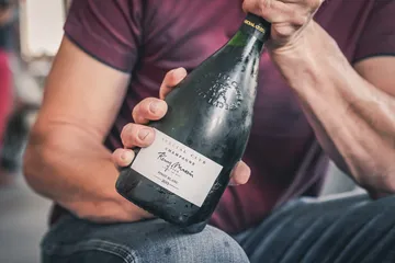 Remy-Massin-17